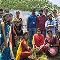 Employees celebrated World Environment Day by planting trees at Sona Yukti campus, Salem
